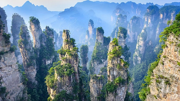 Tour naturalistico della Cina di 14 giorni