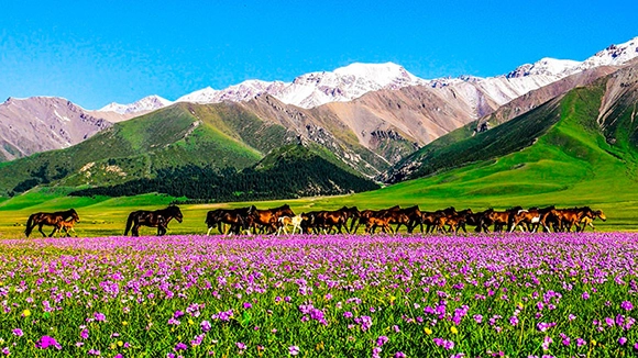 Cina e Xinjiang – Tour