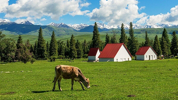 Xinjiang