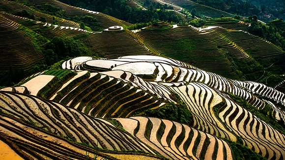 5-Day Guilin Yangshuo Longsheng Tour